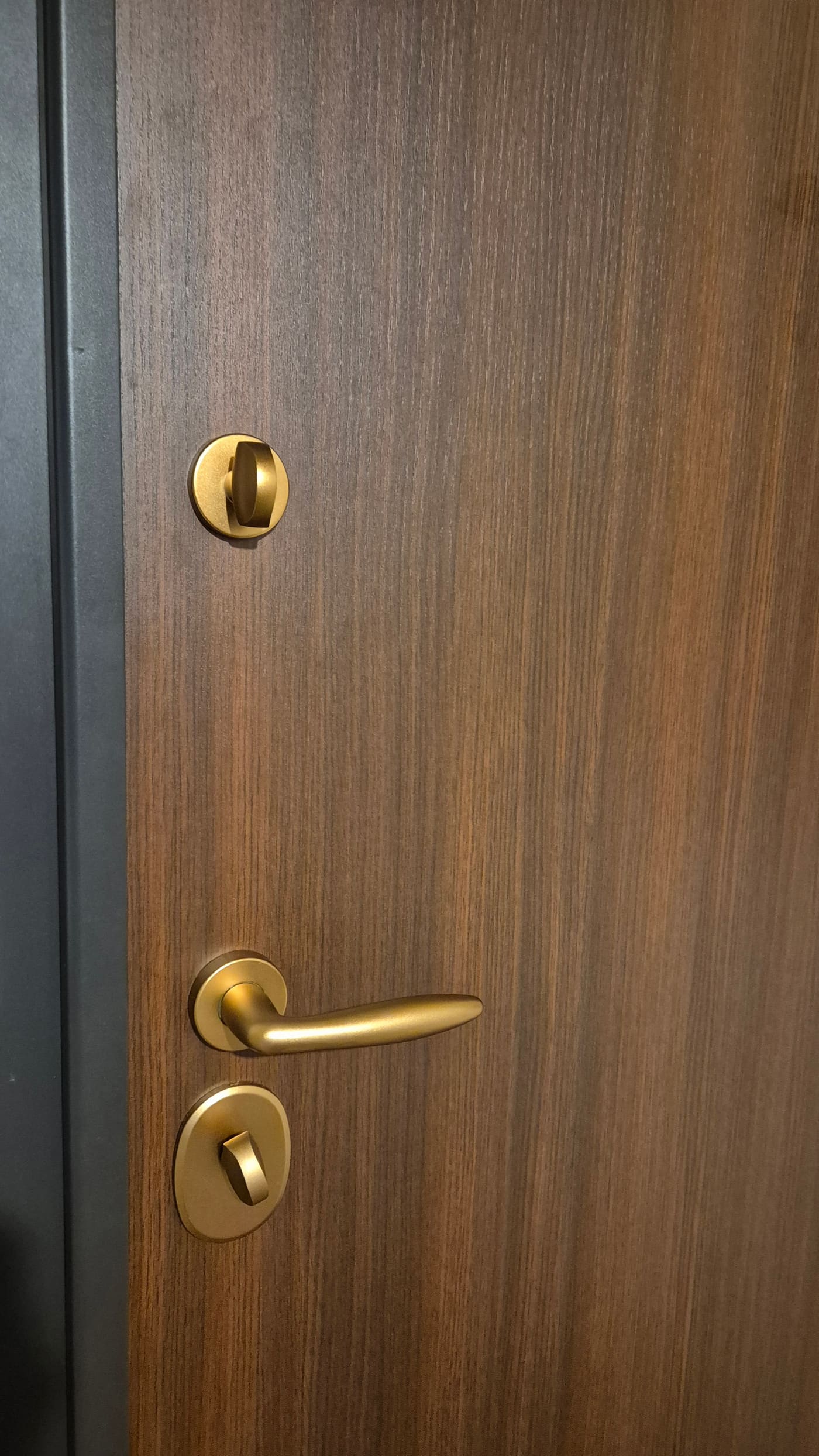 Detalj zlatne kvake i cilindra na protuprovalnim vratima